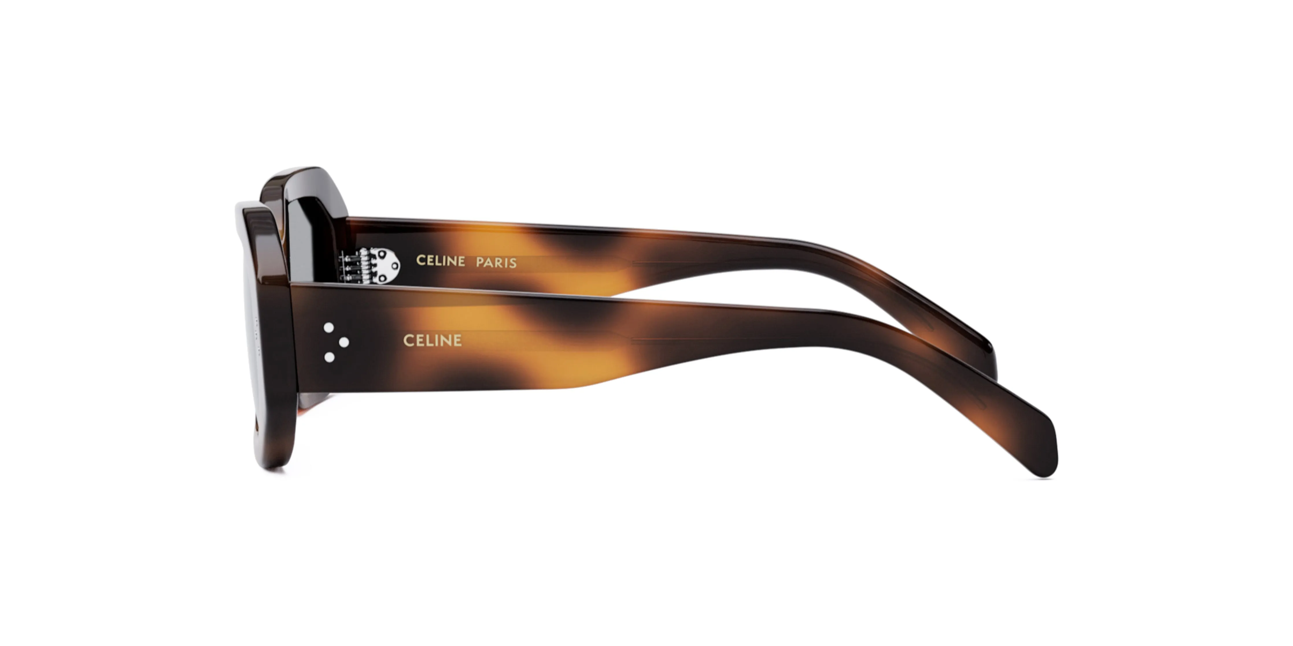 Bold 3 Dots CL40255I Celine Sunglasses