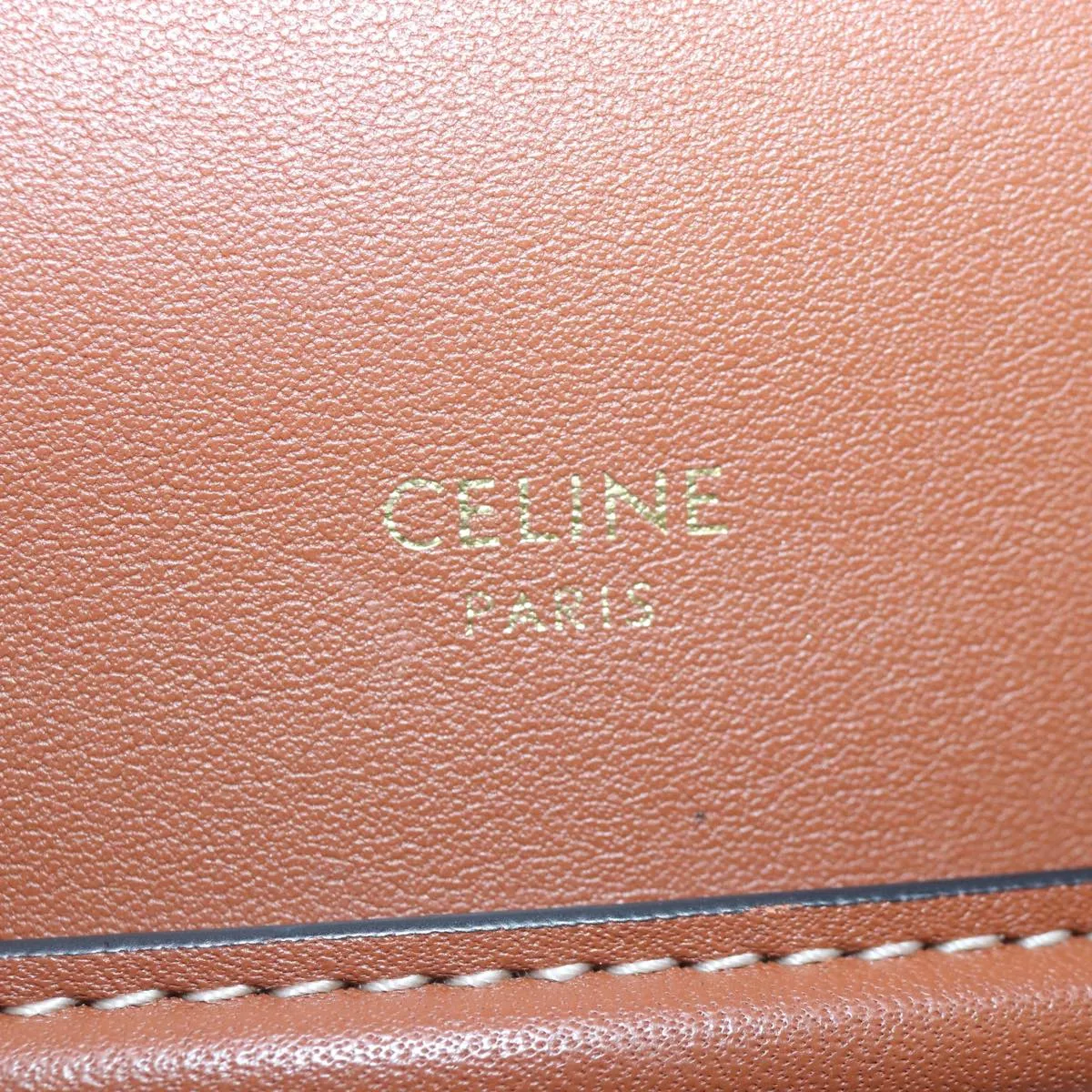 CELINE Triomphe Clutch Bag