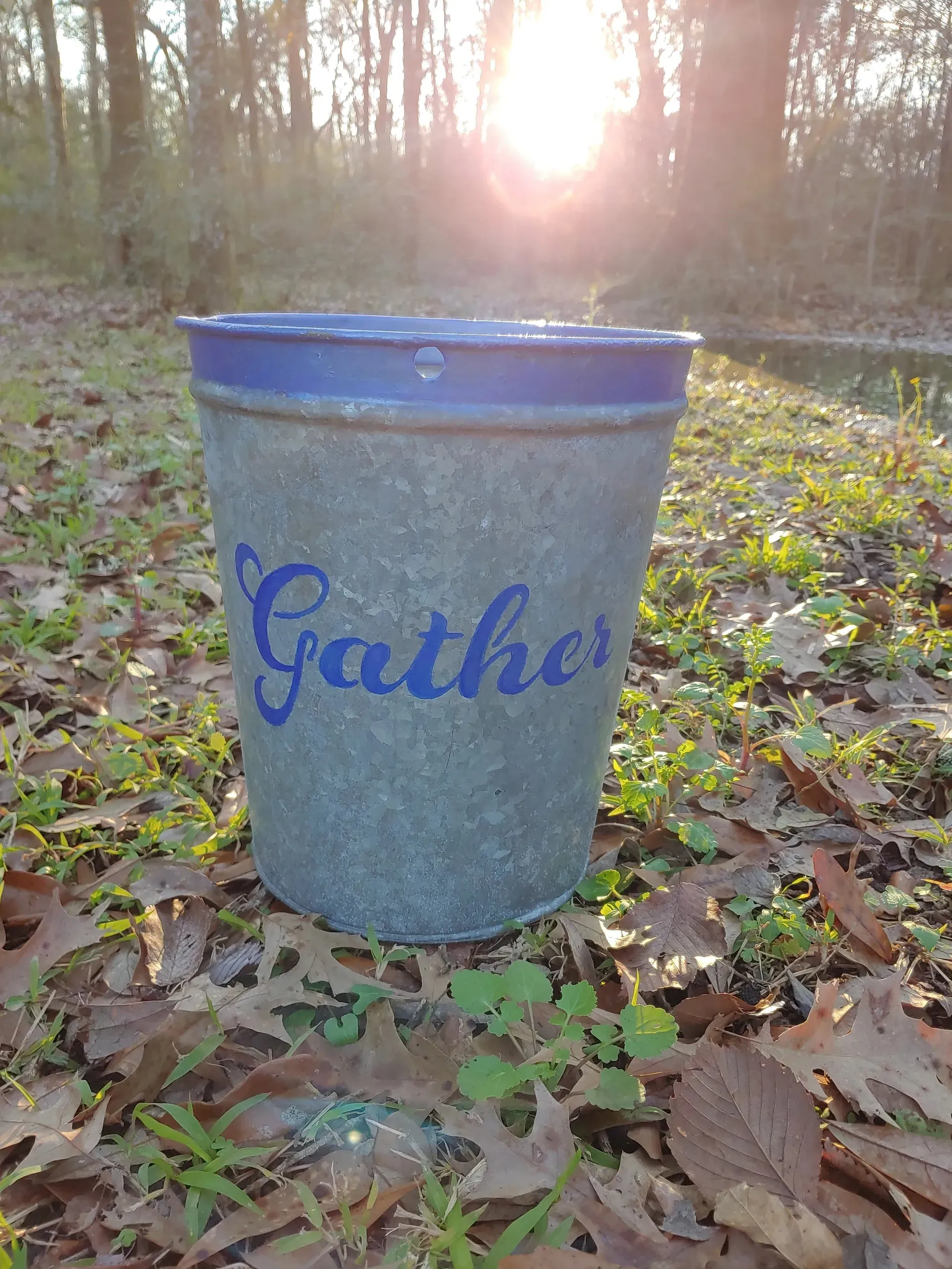 Gather Sap Bucket