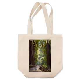 Glacier National Park, Montana, Trail of the Cedars, Lantern Press Artwork, Tote Bag