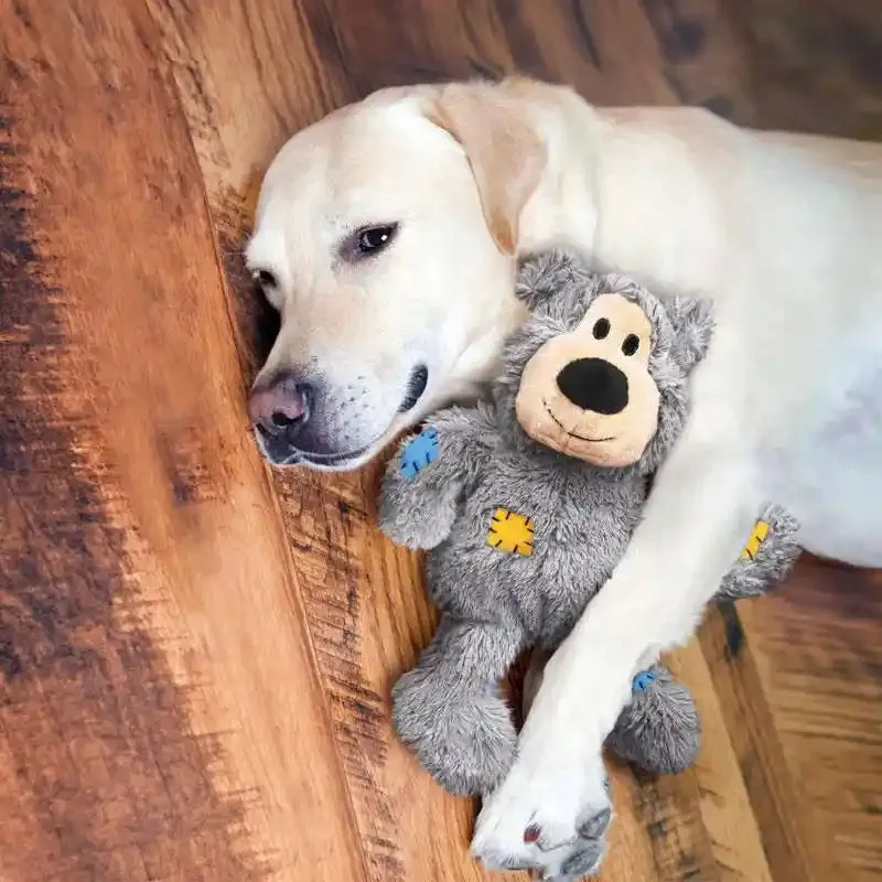 KONG Wild Knots Durable Teddy Bear for Dogs with Internal Rope