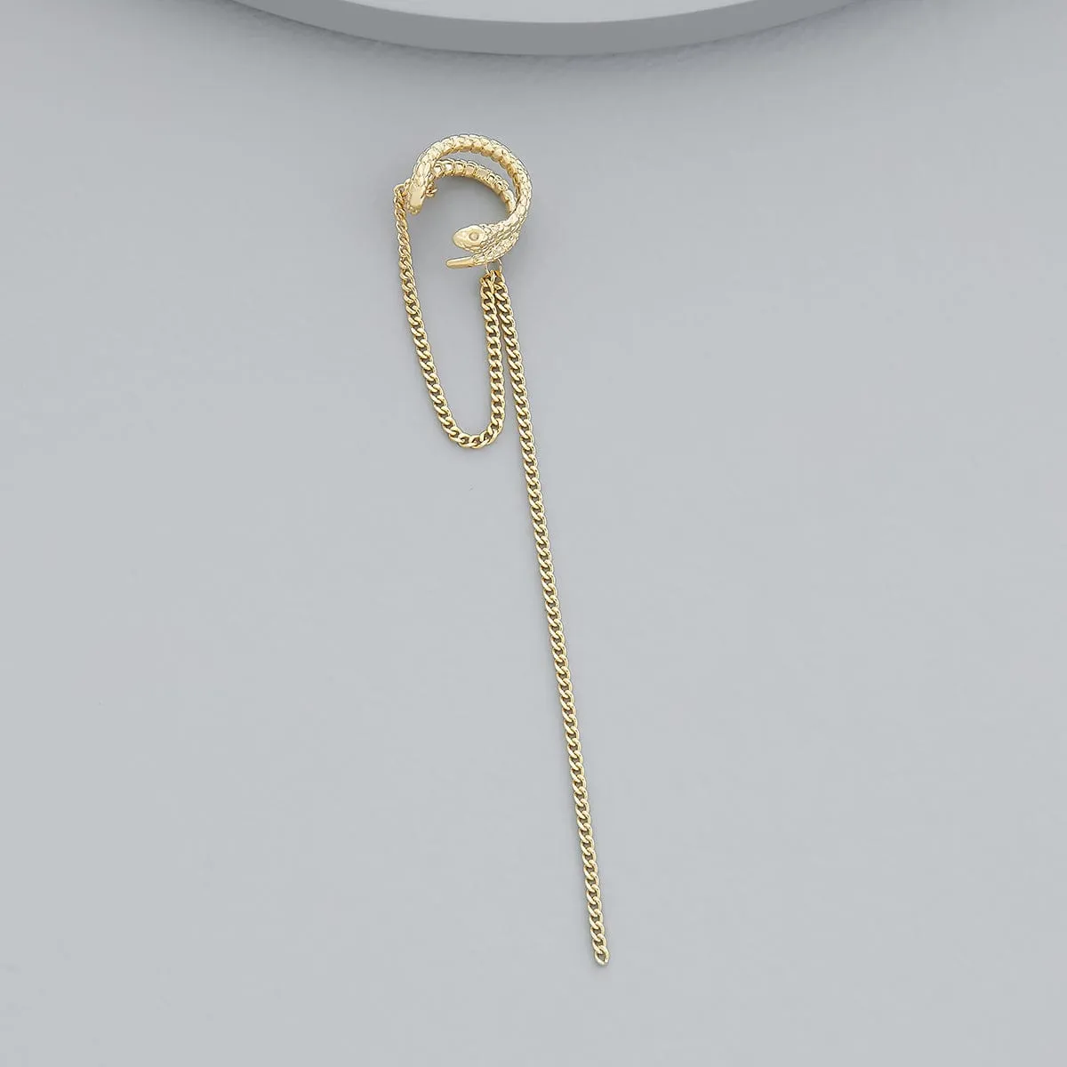 Trendy Earring 171047