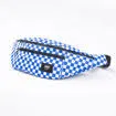 Vans H. Ward Cross Body